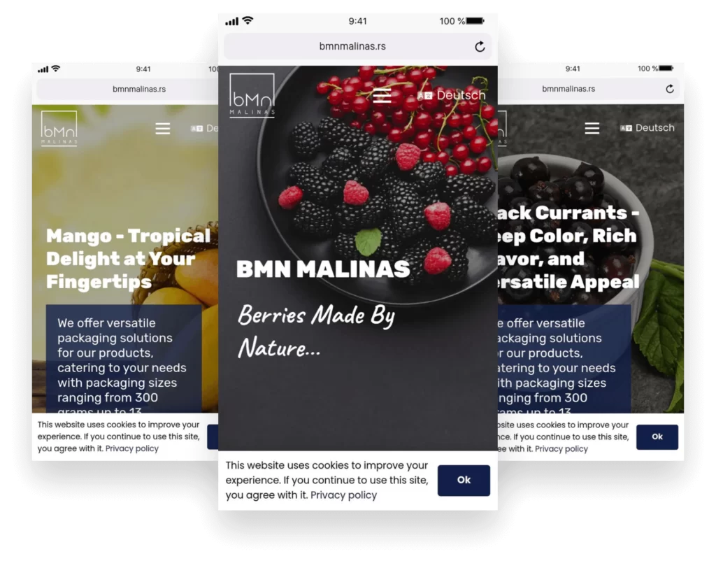 Izrada sajta za BMN malinas pozega